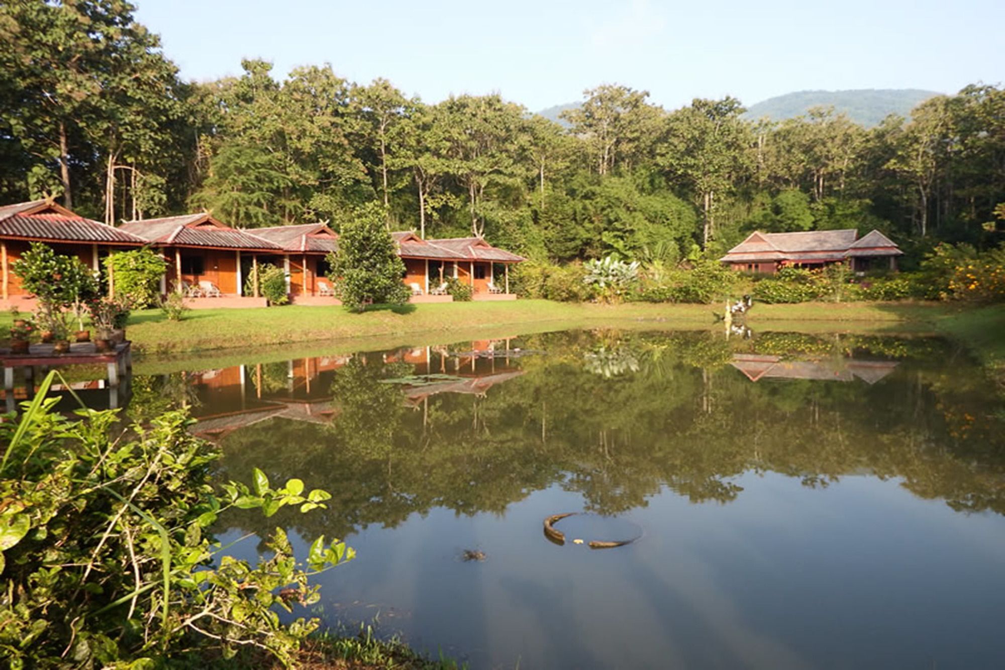 Noks Garden Resort Chiang Rai Exterior foto
